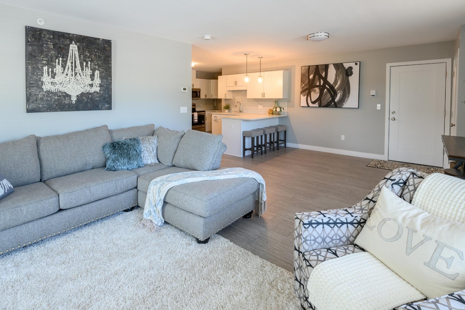 Mill Commons Condos Property The Downs